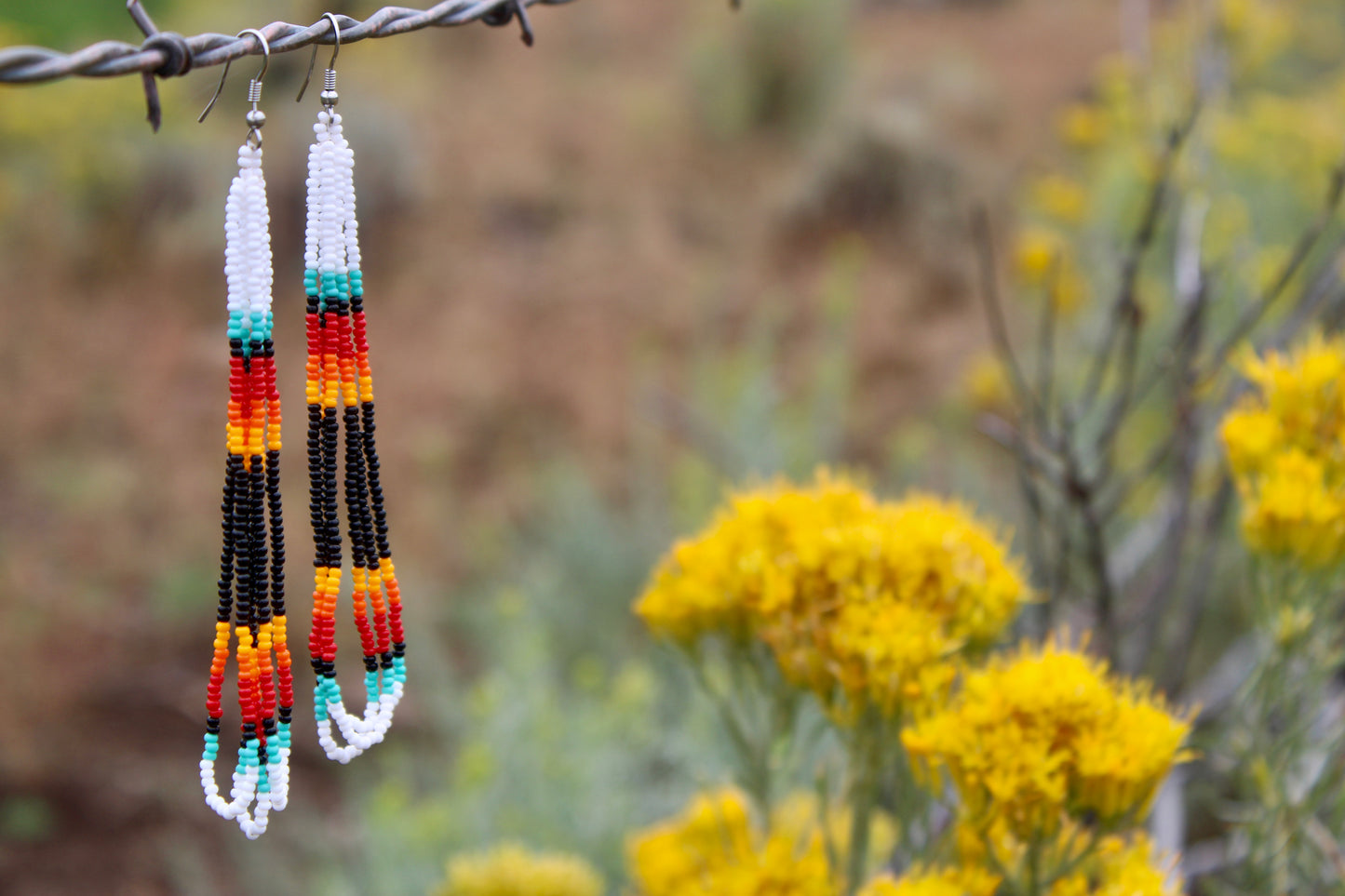 Long Beaded Earrings