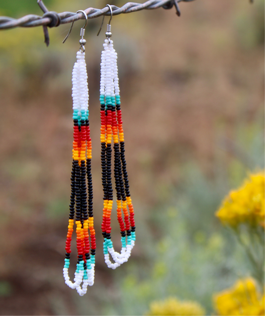 Long Beaded Earrings