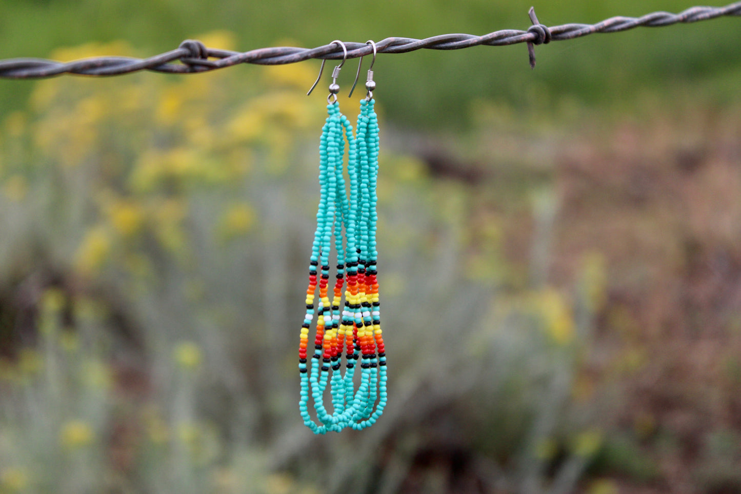 Long Beaded Earrings