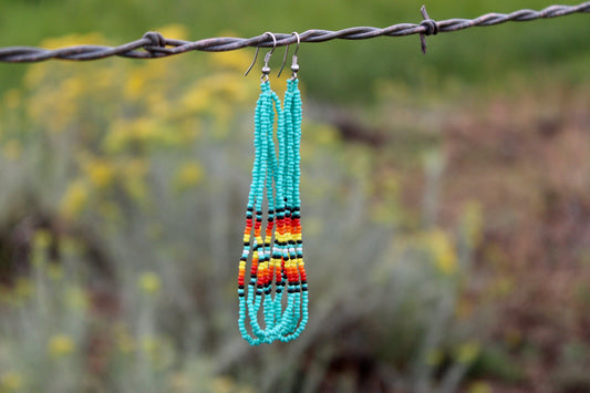 Long Beaded Earrings