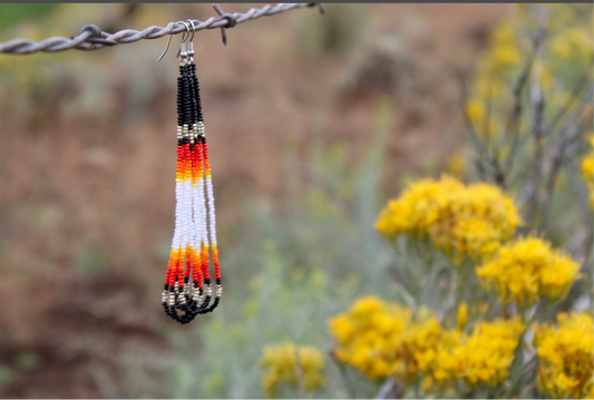 Long Beaded Earrings